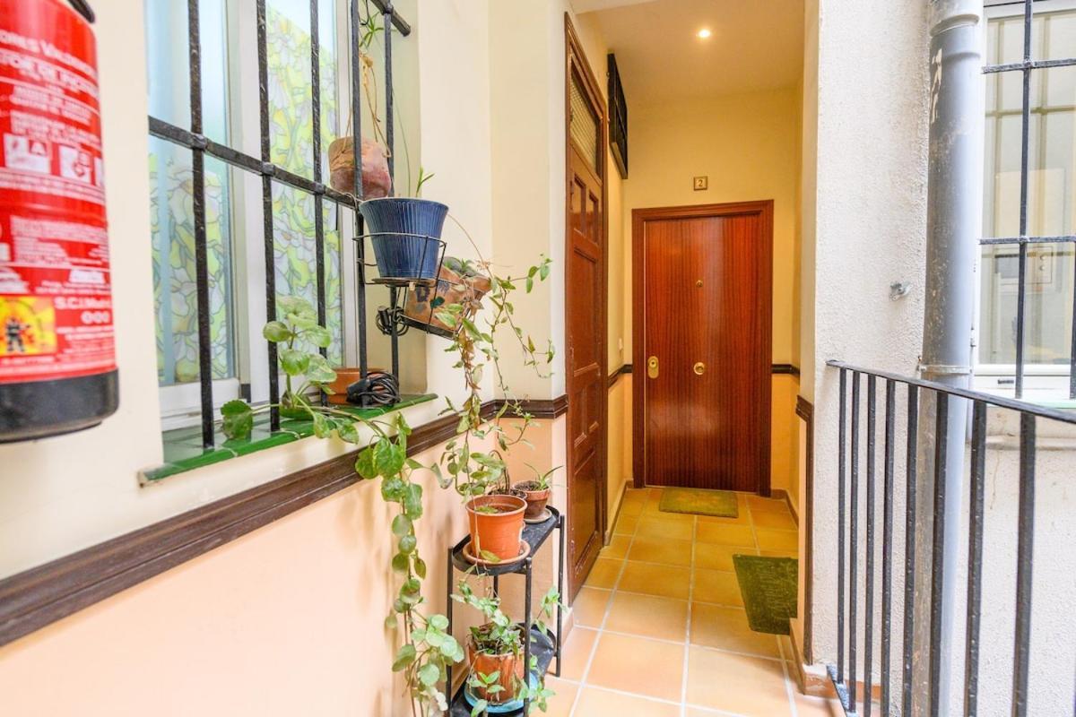 Temporal 1 Bedroom Flat A Few Metres From The Centre Ama2721